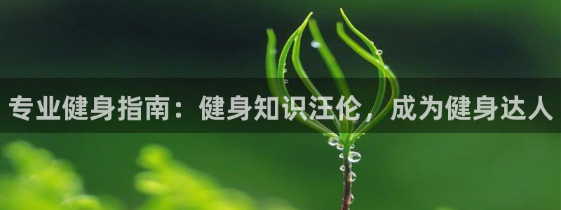 球友会·(QY)官方网站